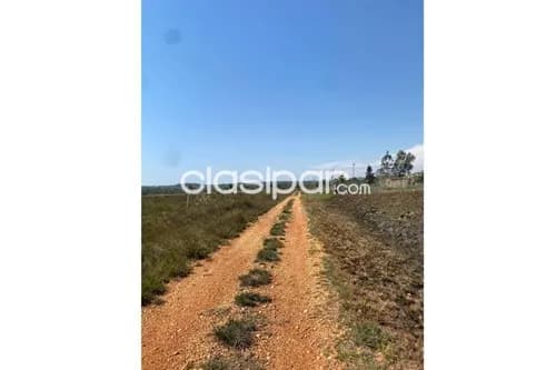 Terreno-Venta-San Bernardino, Cordillera, foto 3