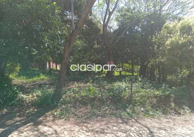 Loma grande - cordillera - lote hermoso y frondoso - 924 m2, foto 2