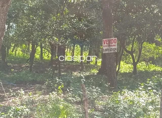 Loma grande - cordillera - lote hermoso y frondoso - 924 m2, foto 3
