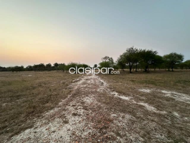 En venta !! 20 y 10 hectáreas en chaco-i sobre ruta internacional — foto 1