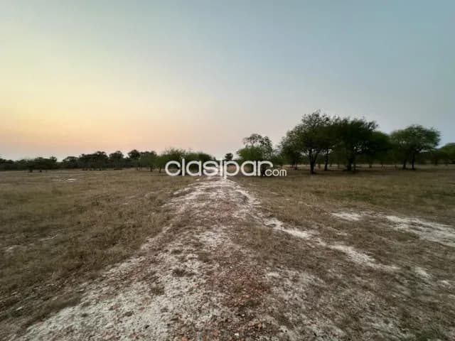 En venta !! 20 y 10 hectáreas en chaco-i sobre ruta internacional — foto 2