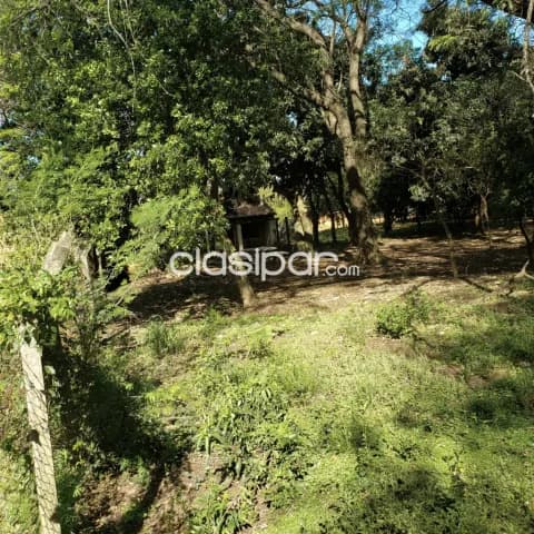 En venta terrano en Capiatá - Yvyraró hacia Ruta 1 - lotes de 361 m2, foto 5