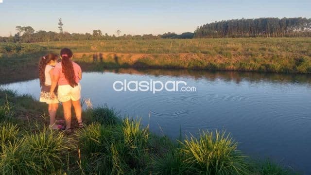 🌱 Gran Oportunidad de Inversión Agrícola 87 Hectáreas Productivas 🌱