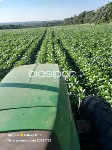 🌱 Gran Oportunidad de Inversión Agrícola 87 Hectáreas Productivas 🌱 — foto 5