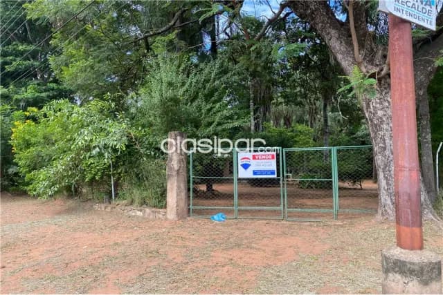 Amplio terreno en Villa Elisa de 6.300 m2 — foto 5
