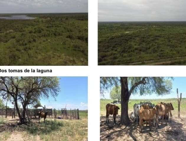 Campo Ganadero en Campo Aceval - 575 Ha