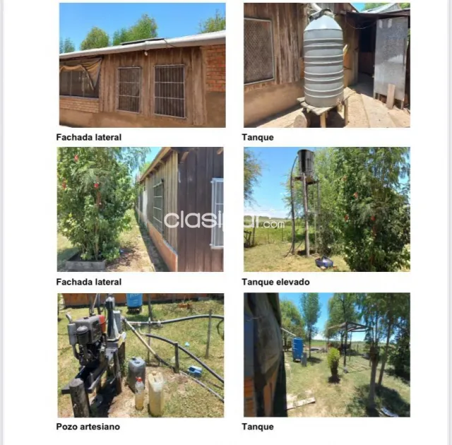 Campo Ganadero en Campo Aceval - 575 Ha — foto 5