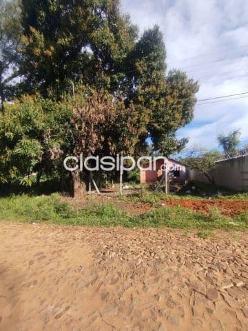 Hermoso y amplio terreno de 600 m2 en barrio lucerito de San Lorenzo