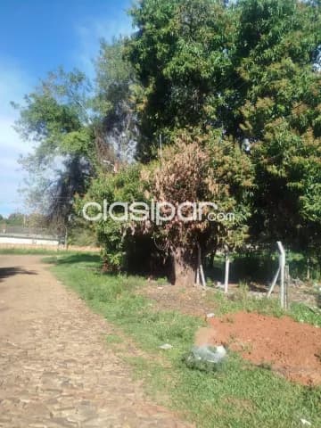 Hermoso y amplio terreno de 600 m2 en barrio lucerito de San Lorenzo, foto 5