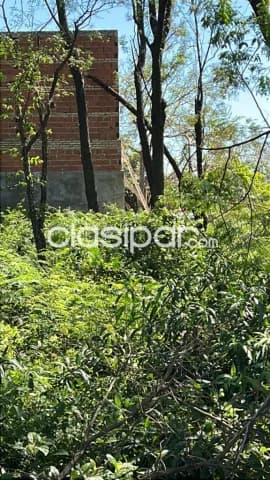 En Venta Terreno de 1.300 m2 a Precio de Oferta en Loma Merlo - Luque V235, foto 3