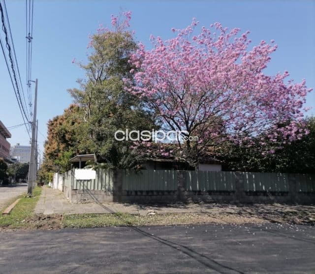 Terreno en campo grande Asunción sil