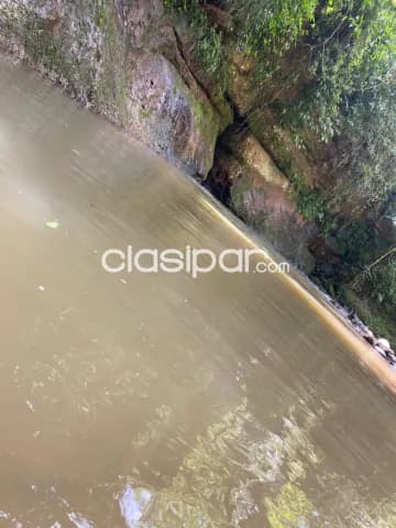 20 hectareas en alto vera itapua cod 5650, foto 5