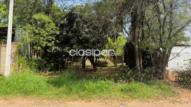 Amplio terreno en palma loma - Luque. A solo 300 m de av. Gral. Aquino — foto 2