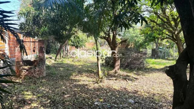 Amplio terreno en palma loma - Luque. A solo 300 m de av. Gral. Aquino — foto 3