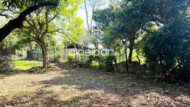 Amplio terreno en palma loma - Luque. A solo 300 m de av. Gral. Aquino — foto 4