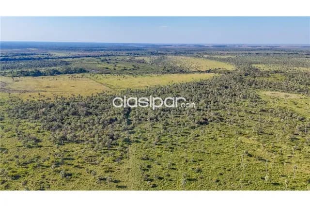 Estancia 1040 hectareas en arroyos y esteros a 10km de ruta 3-uso pecuario y otros, foto 4