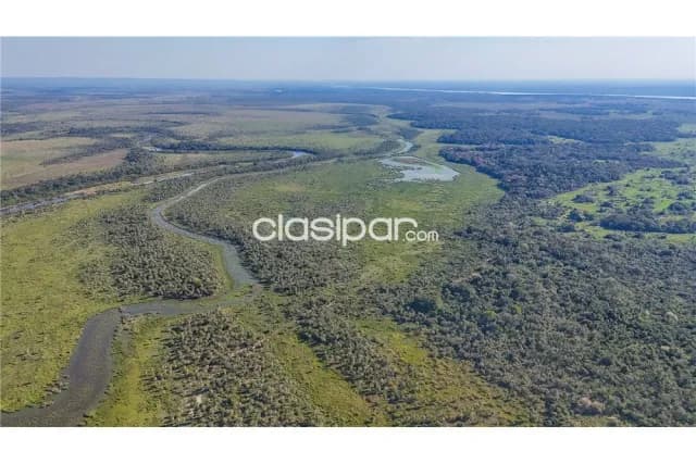 Estancia 1040 hectareas en arroyos y esteros a 10km de ruta 3-uso pecuario y otros, foto 5