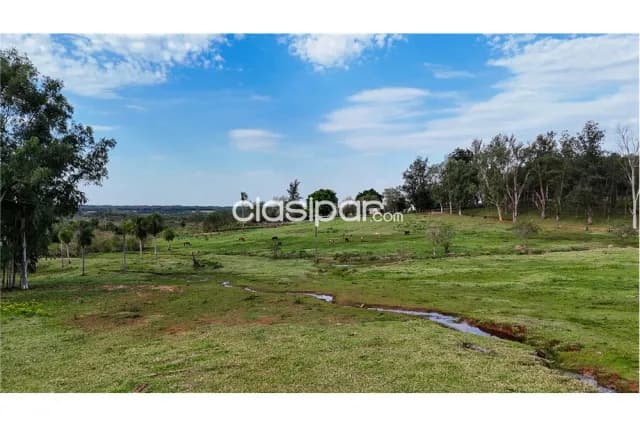 Estancia agroganadera 2.045 hectareas-san pedro ciervo barrero a 309 km de asuncion — foto 3