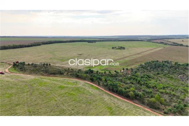 Estancia agroganadera 2.045 hectareas-san pedro ciervo barrero a 309 km de asuncion — foto 4