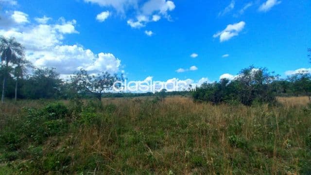 Hermoso inmueble de 46 hectareas en nueva colombia. Ubicacion privilegiada — foto 1