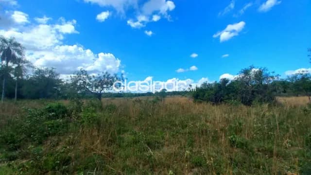 Hermoso inmueble de 46 hectareas en nueva colombia. Ubicacion privilegiada — foto 2