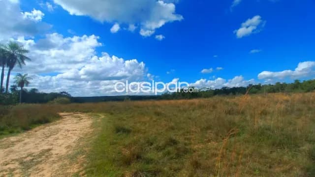 Hermoso inmueble de 46 hectareas en nueva colombia. Ubicacion privilegiada — foto 4