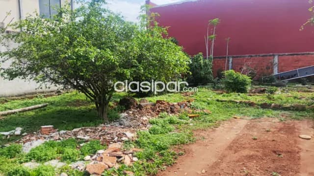 Terreno en laurelty, San Lorenzo, foto 5