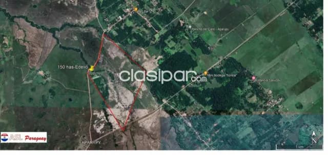 Tobati - inmueble 150 has - vendo o alquilo para reforestar — foto 4