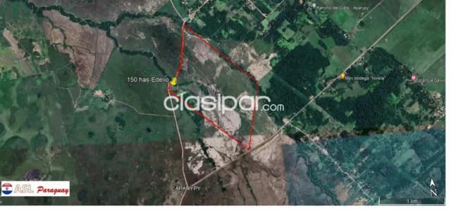 Tobati - inmueble 150 has - vendo o alquilo para reforestar — foto 5