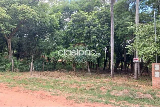 Hermoso Terreno en Mariano Roque Alonso — foto 4