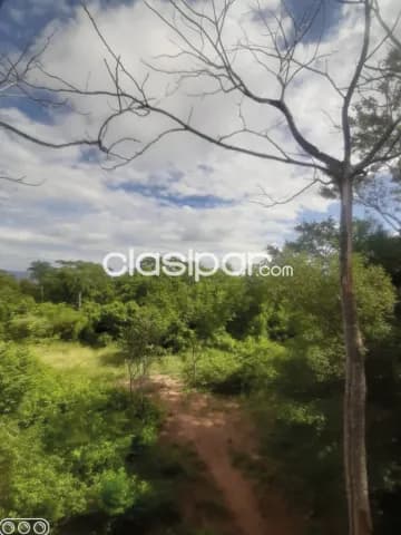 5 Hectareas En San Bernardino Oferta Imperdible A Precio De Remate — foto 3