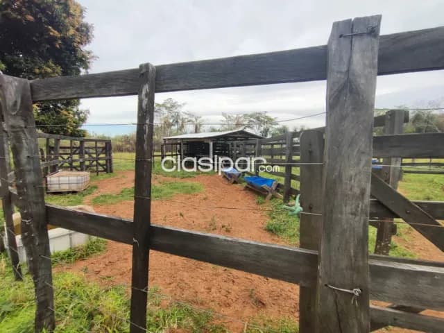 terreno en Yaguaron 14 Ha. para ganaderia, foto 4