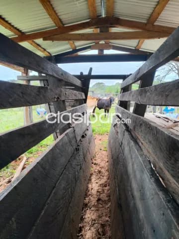 terreno en Yaguaron 14 Ha. para ganaderia, foto 5