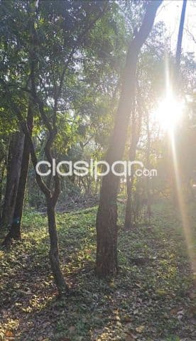 Terreno 2000 m2 en sanber-las cumbres