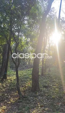Terreno 2000 m2 en sanber-las cumbres — foto 2