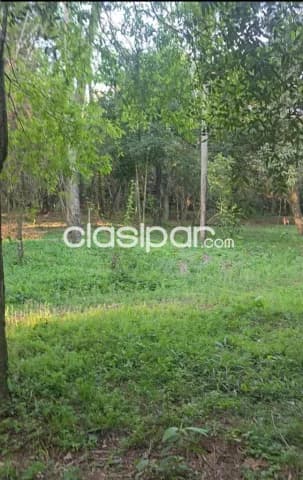 Terreno 2000 m2 en sanber-las cumbres — foto 3