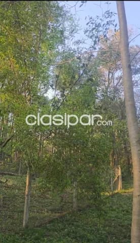 Terreno 2000 m2 en sanber-las cumbres — foto 4