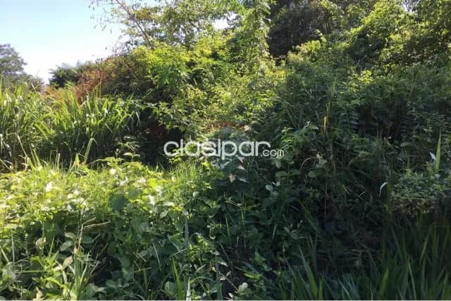Terreno en San Lorenzo, foto 4