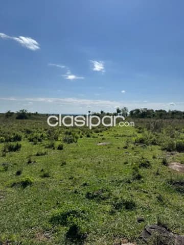 terreno 250 has , Loma Grande, Cordillera — foto 3