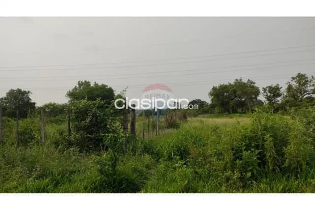 Terreno de 4 ha. 7.788 m2 avda.san jose-el peñon-limpio — foto 4