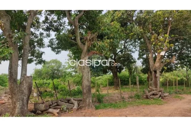 Terreno de 4 ha. 7.788 m2 avda.san jose-el peñon-limpio — foto 5