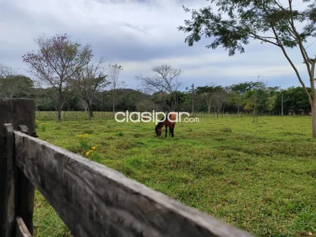 15 hectareas en yaguaron cod 3831 — foto 3
