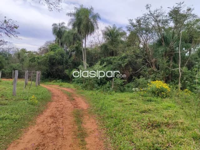 15 hectareas en yaguaron cod 3831 — foto 4