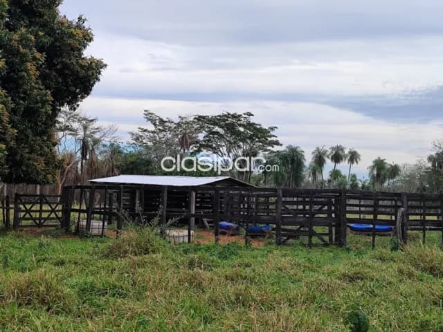 15 hectareas en yaguaron cod 3831 — foto 5