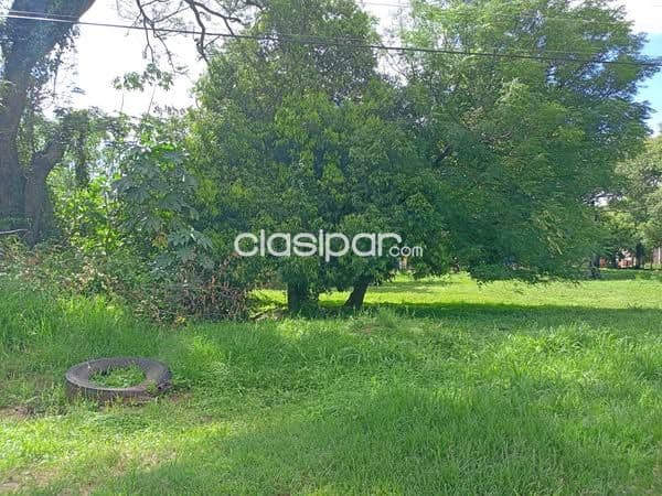 Terreno en San Lorenzo zona palacio cod 4258