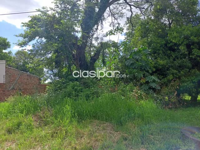 Terreno en San Lorenzo zona palacio cod 4258 — foto 4