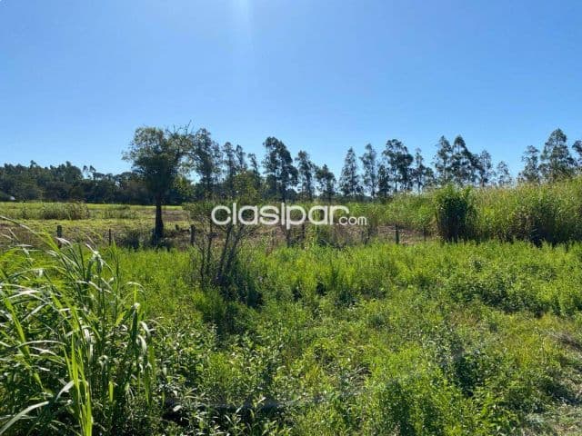 2 hectáreas en Luque - isla bogado