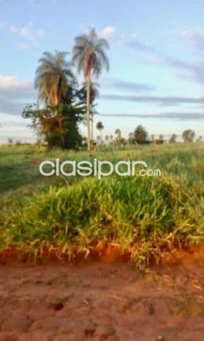 5 ha. De campo en arroyos y esteros - zona compañia urundey