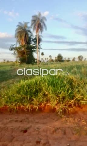 5 ha. De campo en arroyos y esteros - zona compañia urundey, foto 2