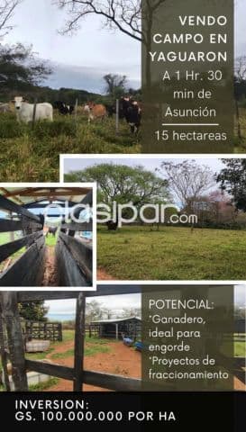 Yaguarón, paraguarí: 15 has, p/ emplotacion ganadera, bosques mixtos, etc — foto 1